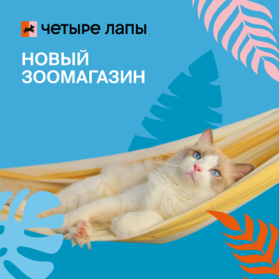 Четыре Лапы – праздничное открытие!